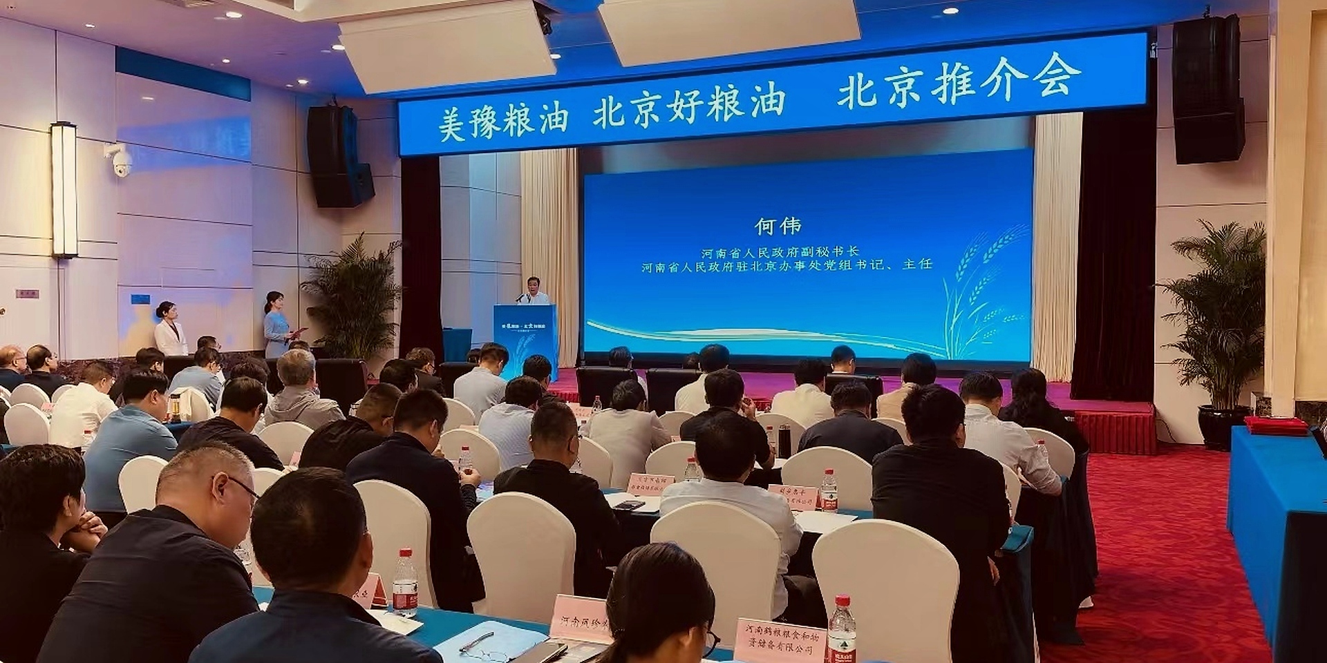 活动会展